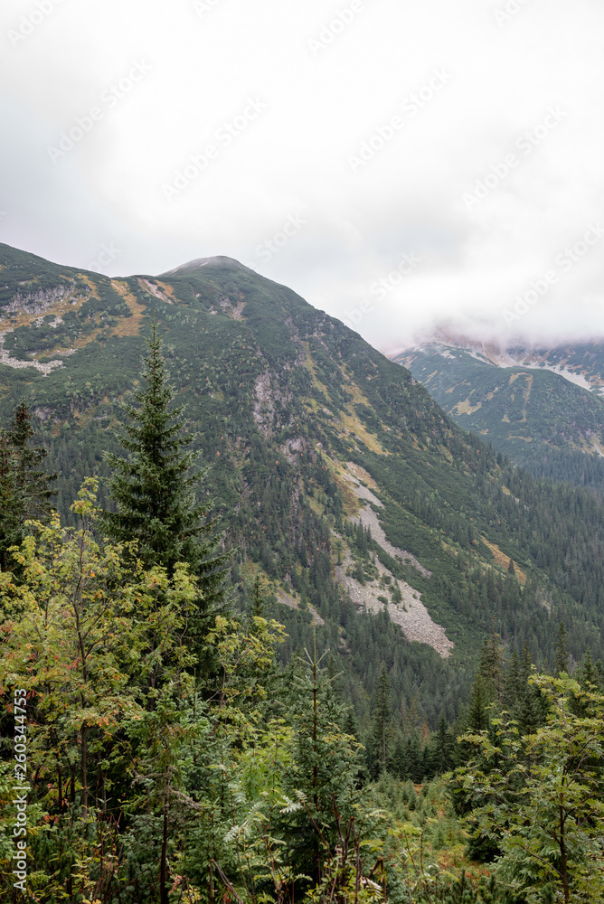 tourist trails in Slovakia Tatra mountains in autumn. cloudy day