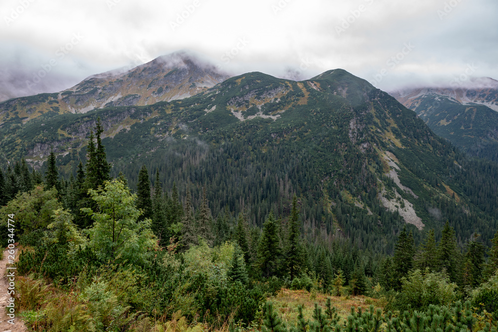 Fototapeta premium tourist trails in Slovakia Tatra mountains in autumn. cloudy day