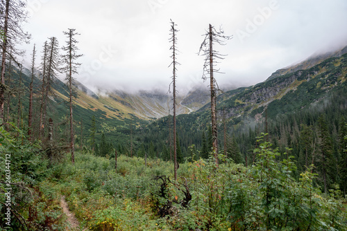 tourist trails in Slovakia Tatra mountains in autumn. cloudy day © Martins Vanags