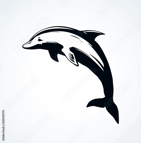 Dolphin. Vector drawing