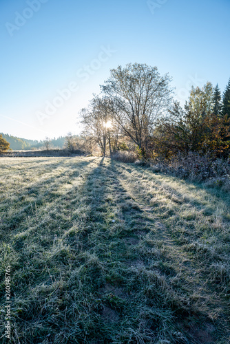 first winter frost in sunrise light in countryside