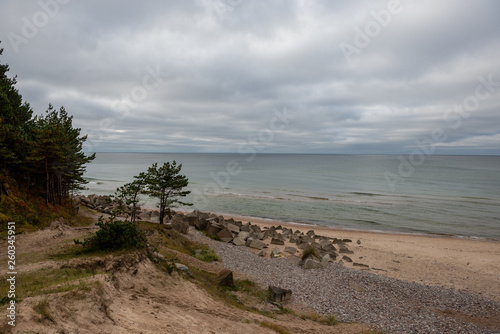 Fototapeta Naklejka Na Ścianę i Meble -  empty sea beach in autumn with lonely trees and rocks in sands