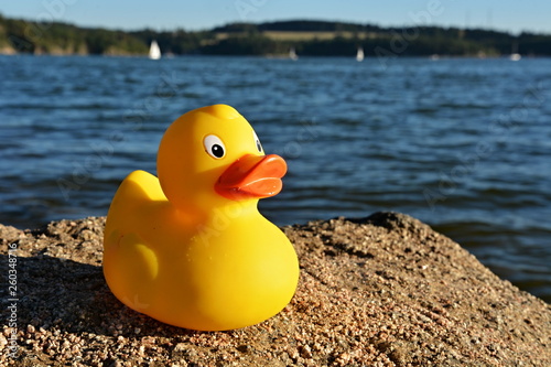 Yellow rubber duck