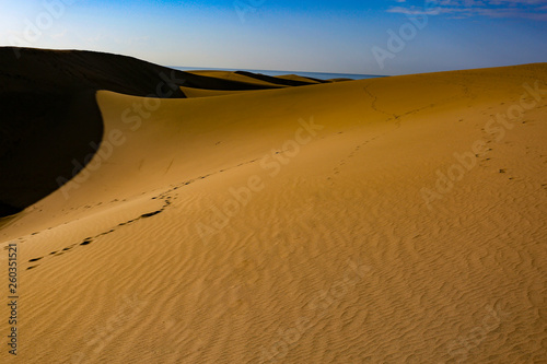 Summer background of sand and beach 