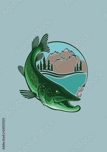 pike fish image