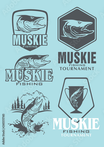 pike fish image