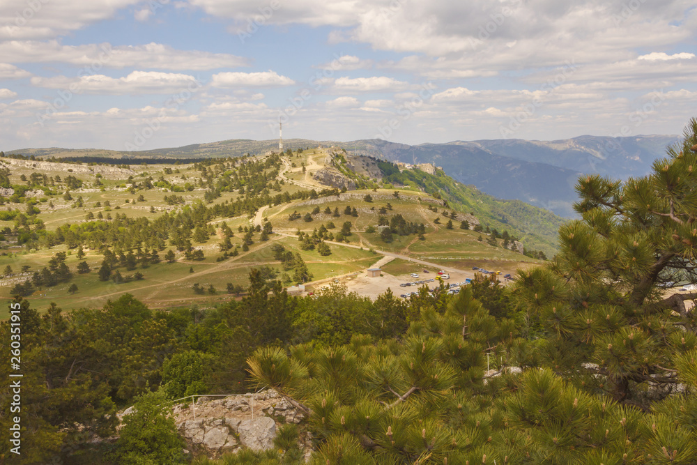 View of the plateau of mount AI-Petri through the branches of coniferous trees growing on a hill.Crimea.
