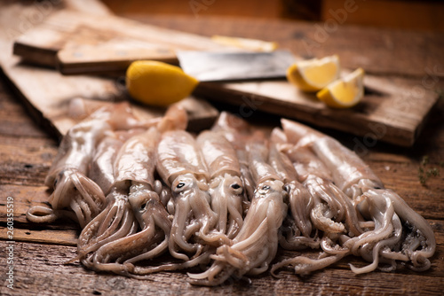 Fotografija Squid  for sale on the market