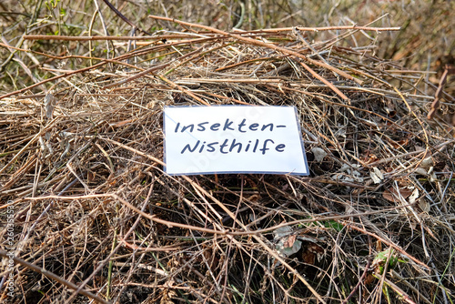 Einfache Nisthilfe für Insekten zum Selbermachen photo