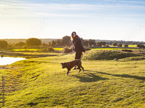 An teenager woman playing with a young dog of the American staffordshire breed in countryside in springtime