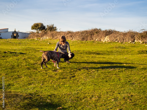 An adult woman playing with a young dog of the American staffordshire breed in countryside in springtime © anuskiserrano