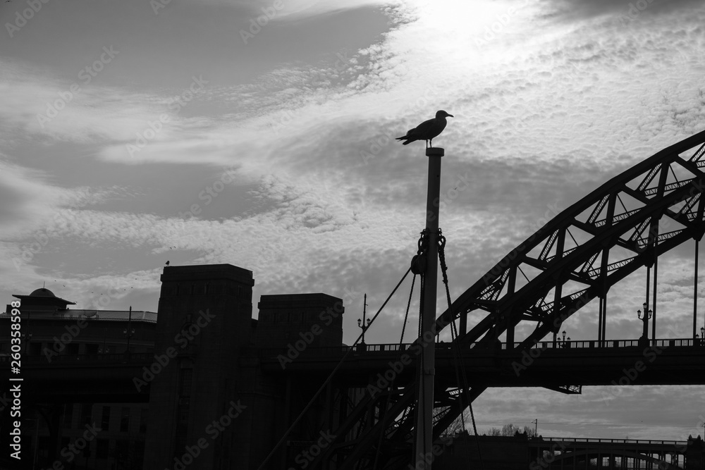 Silhouettes of a Sea Gull sitting on a mast and Tyne Bridge in the distance in Newcastle upon tyne, England