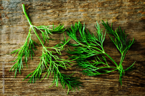Fresh dill leaves on a dark wood background