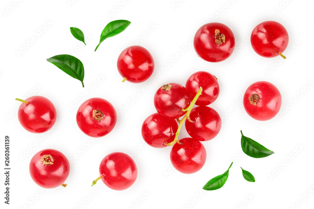 Red currant berry with leaf isolated on white background. Top view. Flat lay pattern Red currant berry with leaf isolated on white background. Top view. Flat lay pattern