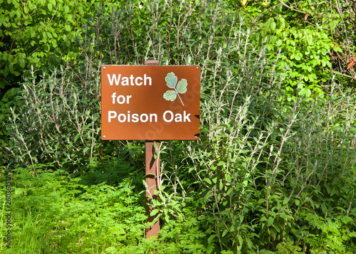 Watch for Poison Oak sign in the middle of a variety of green vegetation along a walking trail.