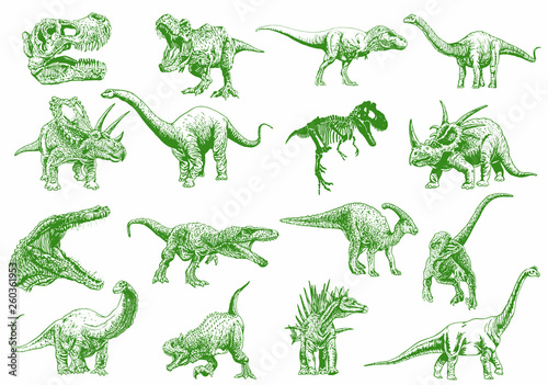 Graphical  set of green dinosaurs isolated on white background,vector illustration