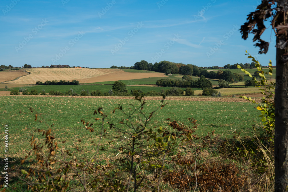 nature called Bruisterbosch along Mergelland Route Limburg, The Netherlands