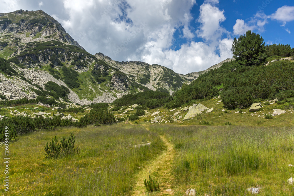 Amazing Summer landscape of Pirin Mountain, Bulgaria