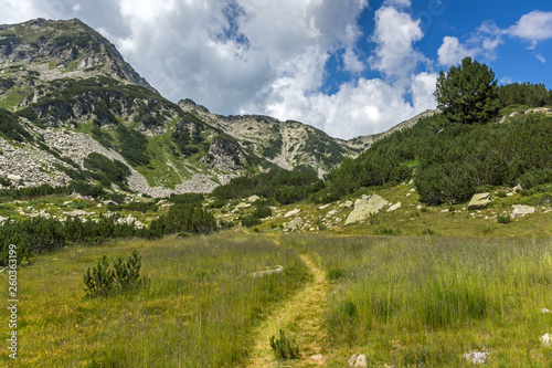 Amazing Summer landscape of Pirin Mountain  Bulgaria
