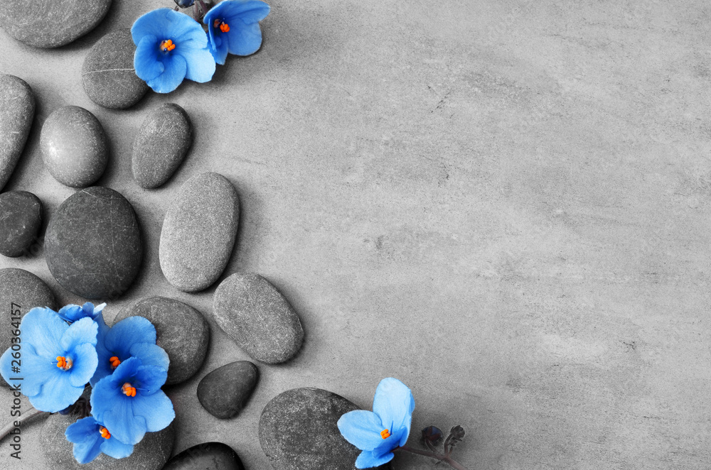Fototapeta Błękitny kwiatu i kamienia zen zdrój na szarym tle