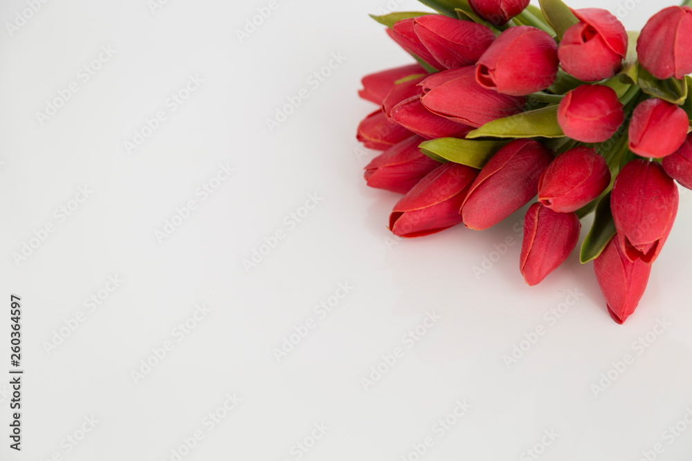 the girl hold the red tulips in the hand for happy mothers day or teachers day. the girl hold the red tulips in the hand for happy mothers day or teachers day.