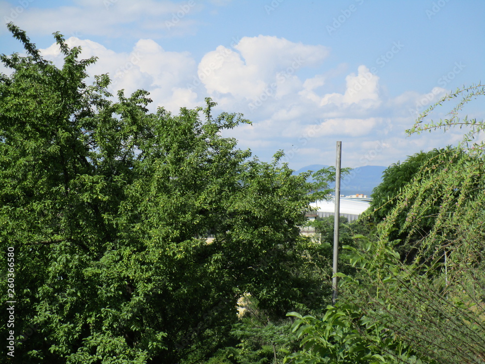 Fototapeta premium Cluj Napoca