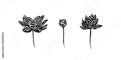 Hand drawn lotus modern outline sketch. Vector black ink drawing flowers set isolated on white background. Graphic illustration