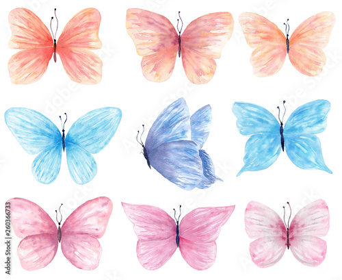 Watercolor butterfly set hand drawn painting. Can be used for greeting cards,wedding invitations,logo,T-shirts,bags,posters,printing on fabric,wallpaper,packaging. © tanialerro