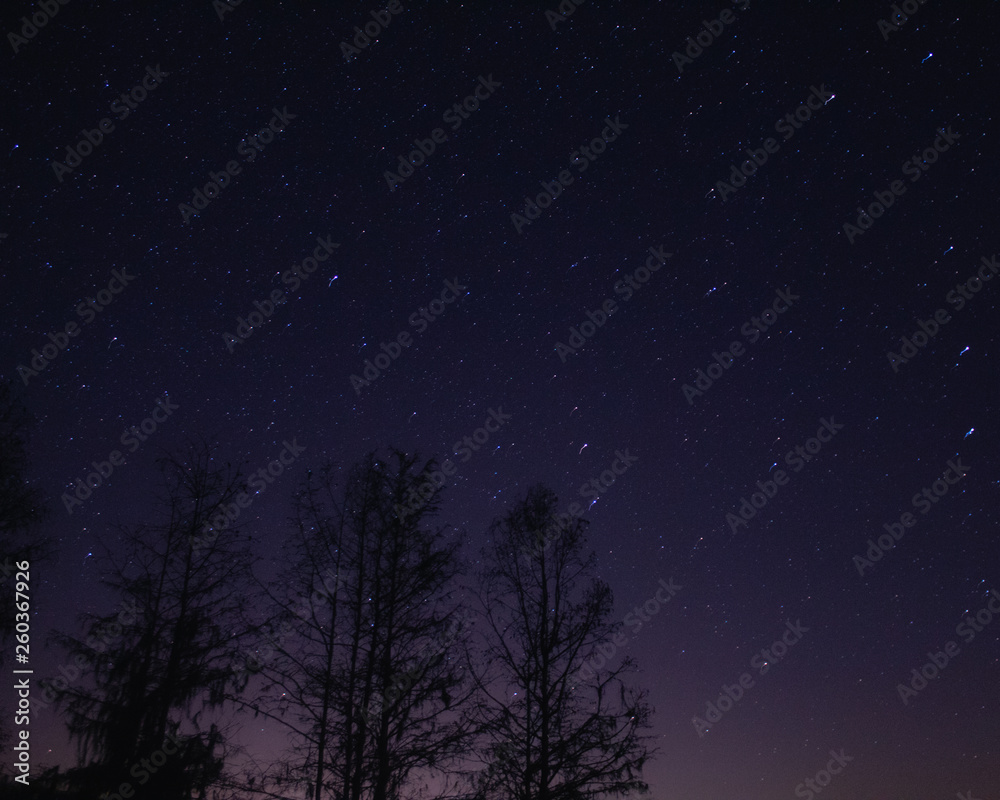 Night Sky & Stars 5