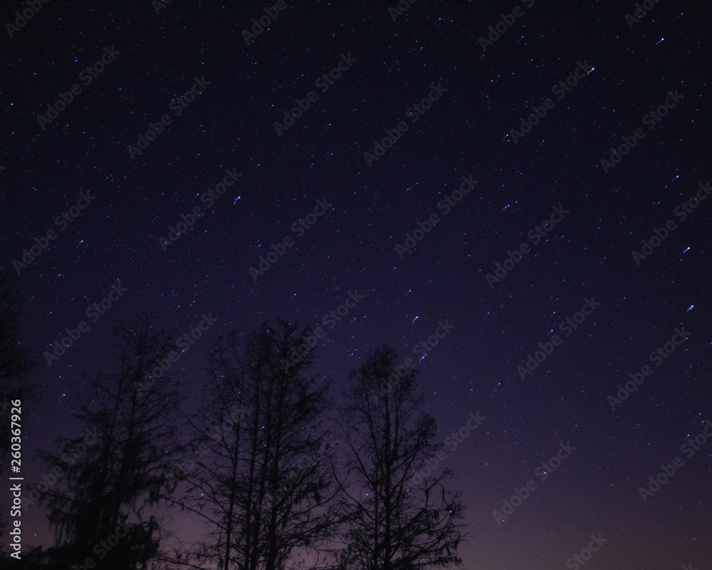 Night Sky & Stars 5 Night Sky & Stars 5