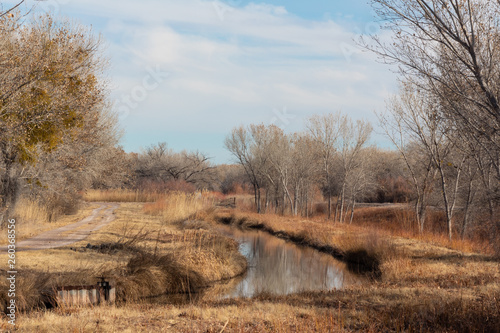 Bosque del Apache New Mexico, winter landscape with road and irrigation ditch, bare trees, horizontal aspect