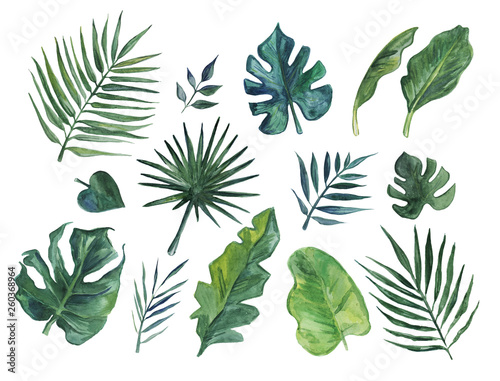 Hand drawn watercolor set of tropical leaves 