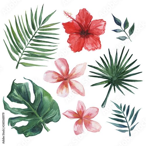 Hand drawn watercolor set of tropical leaves and flowers.