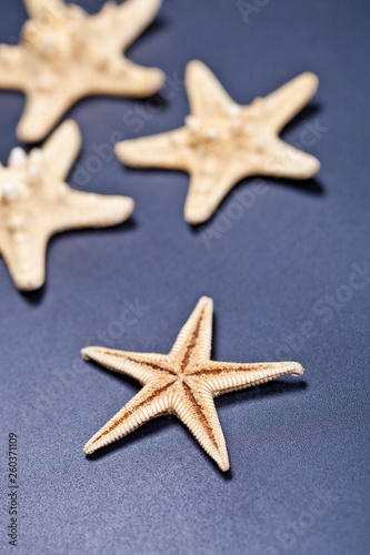 Starfish closeup on deep blue.
