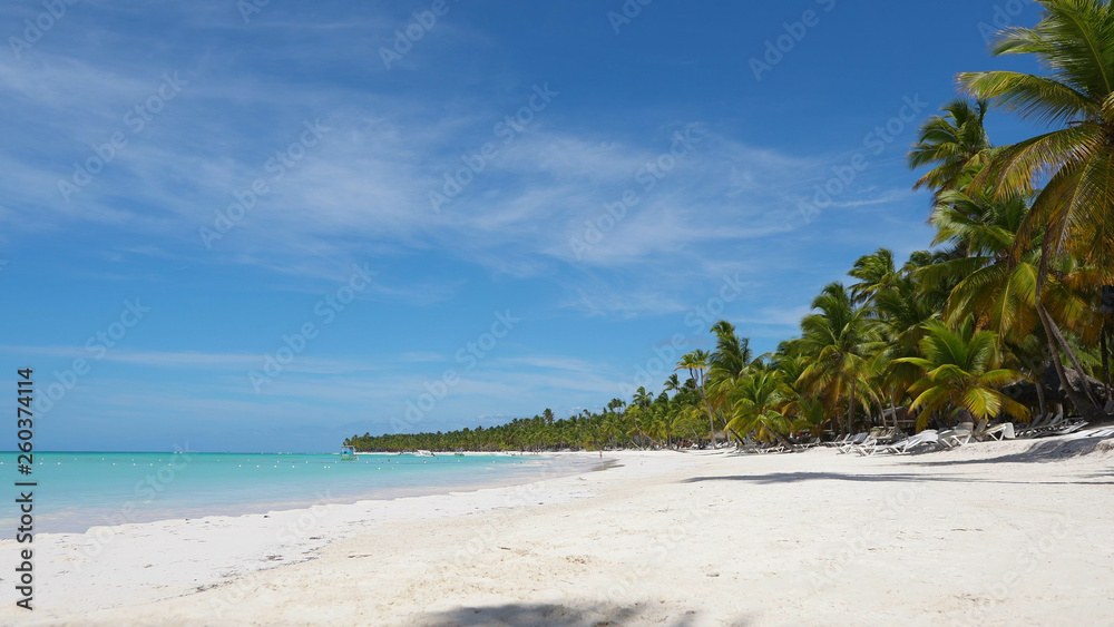 Wild big Caribbean tropical island beach. Blue sea and white sand background. Beautiful palm trees vacation blue turquoise sea water. Atlantic Ocean, the beaches of Dominican Republic Punta Cana.