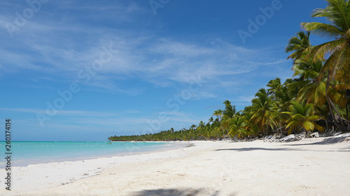 Wild big Caribbean tropical island beach. Blue sea and white sand background. Beautiful palm trees vacation blue turquoise sea water. Atlantic Ocean, the beaches of Dominican Republic Punta Cana. © murkalor7