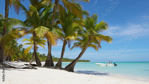 Tropical palms island beach with white sand and blue Caribbean sea  Punta Cana  best beaches in the world  crystal Atlantic ocean  summer holidays vacation. Turquoise clear sea water. Palm trees beach