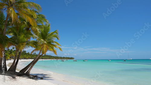 Maldivian beach on the coast of the Indian Ocean. Coconut palms on a white beach over the turquoise sea. Summer travel concept background. Beautiful postcard of the sea beach.