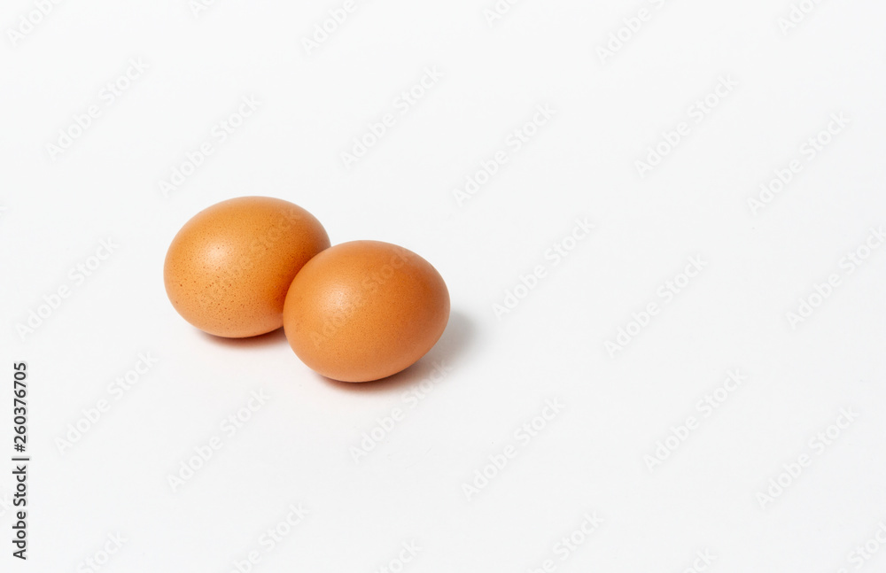 chicken egg on white background chicken egg on white background