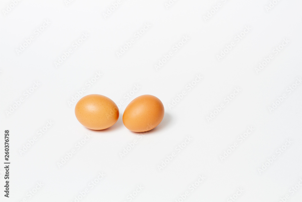 chicken egg on white background chicken egg on white background