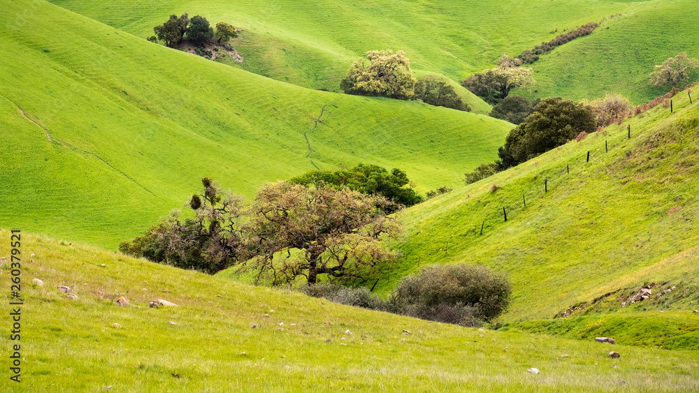 Verdant valley in the mountains on south San Francisco bay area, San Jose, California