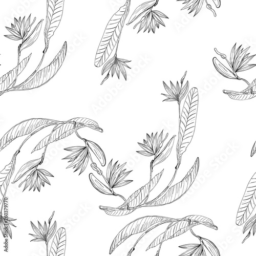 Strelizia tropical paradise pattern for print design. Floral seamless Flower background. Trendy spring blossom decoration.