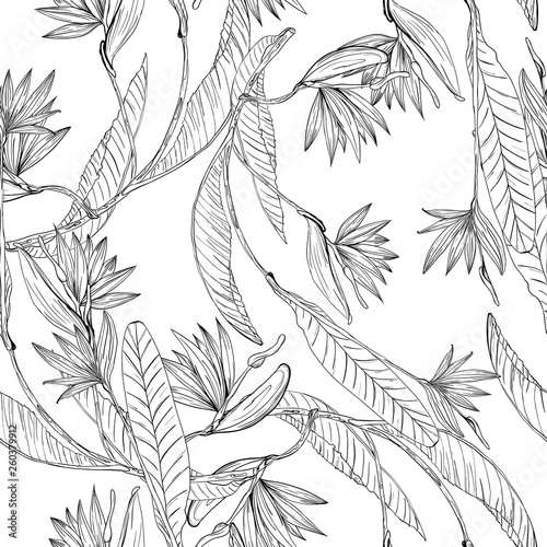 Strelizia tropical paradise pattern for print design. Floral seamless Flower background. Trendy spring blossom decoration.