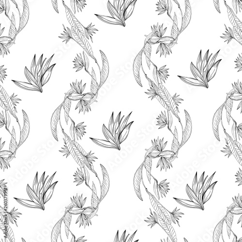Strelizia tropical paradise pattern for print design. Floral seamless Flower background. Trendy spring blossom decoration.
