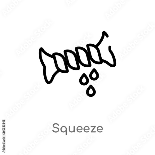 outline squeeze vector icon. isolated black simple line element illustration from cleaning concept. editable vector stroke squeeze icon on white background