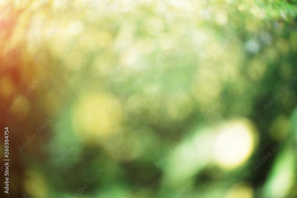 Obraz premium Blur bokeh macro background