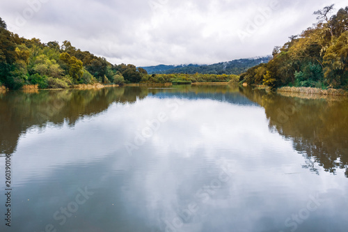 Searsville Lake located in Jasper Ridge Biological Preserve on a cloudy day, San Francisco bay area, California