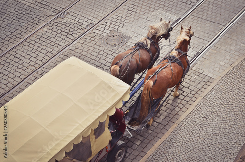 Photography Horse carriage with tourists on the stone road from top.