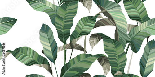 Tropical floral pattern of palm leaves and exotic plants. Vector illustration