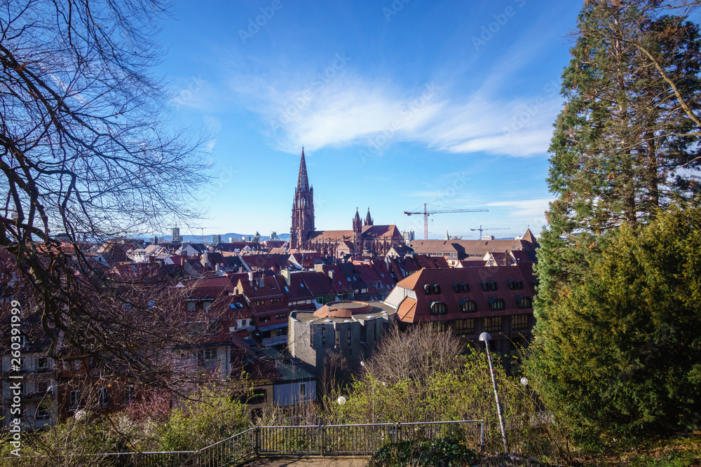 Blick aufs Münster